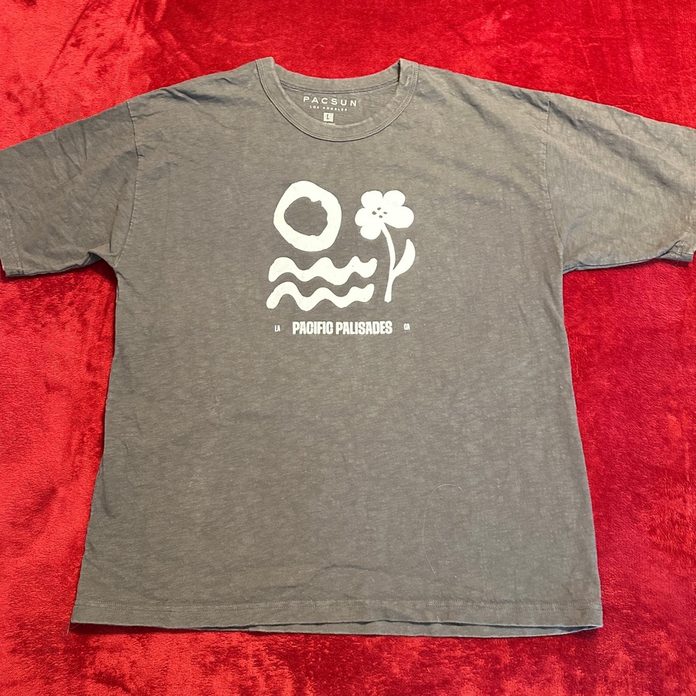 PacSun Pacific Palisades Graphic T-Shirt Gray Mens Large Cotton Short Sleeve Tee